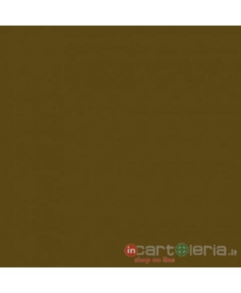 CARTONCINO 70X100 COLORLINE 220GR Nocciola CANSON