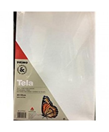 TELA PITTURA CLASSIC 25X35...