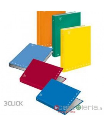 RACCOGLITORE 4 ANELLI 19X22...