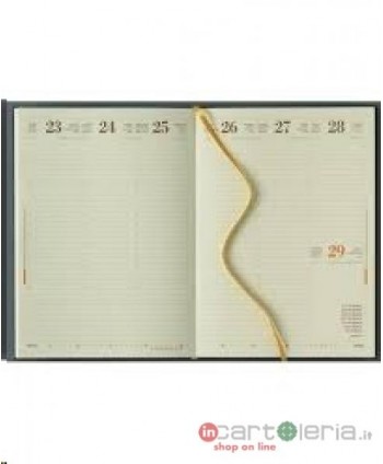 RICAMBIO AGENDA 17X24 SETTIMANALE CARTONATO CANGINI (Cod. 027151)